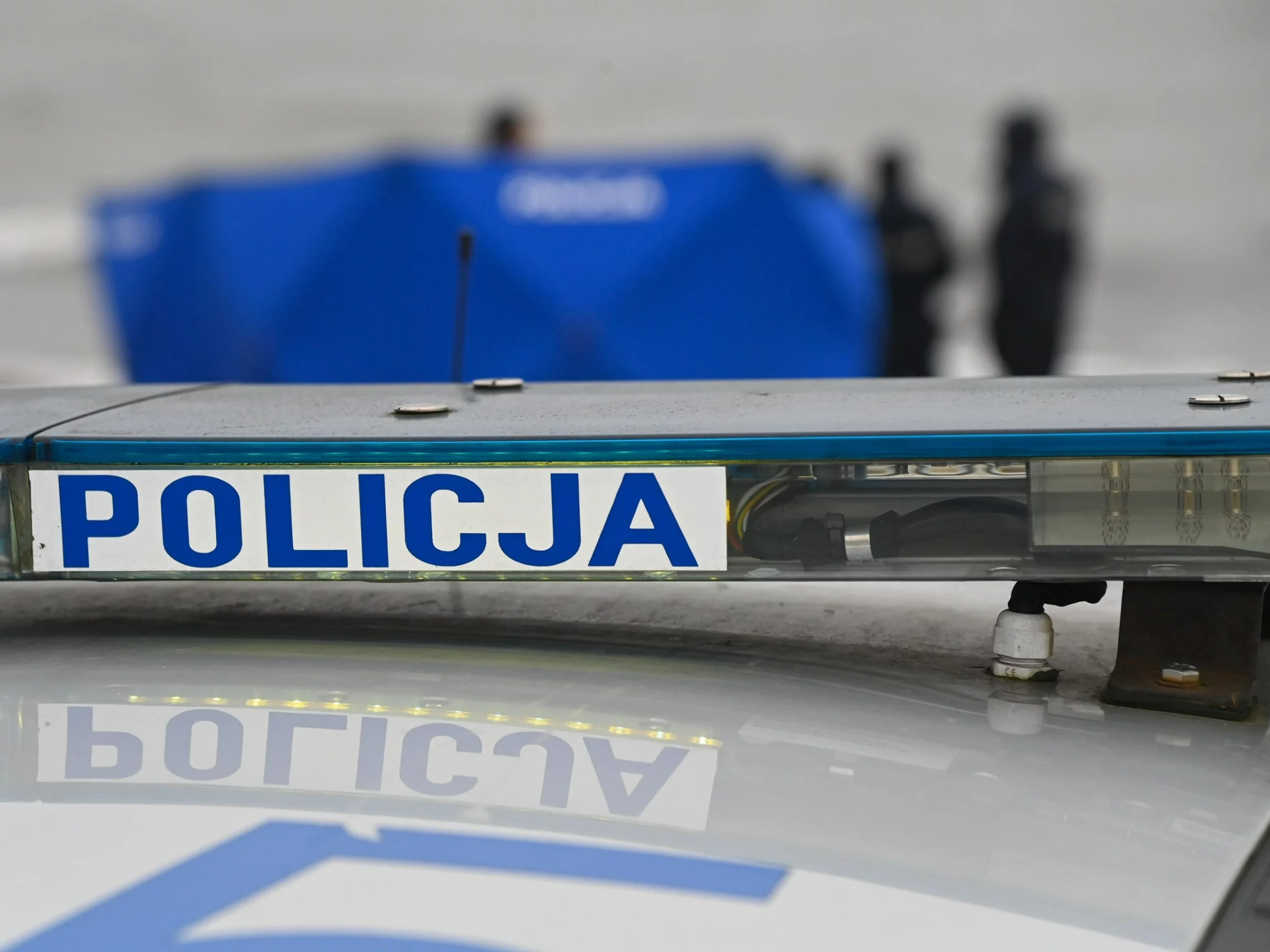 Policja, zdjęcie ilustracyjne