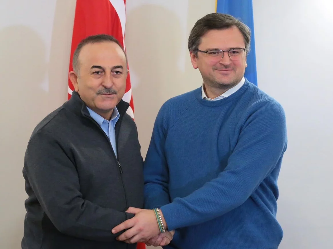 Ministrowie spraw zagranicznych Turcji i Ukrainy we Lwowie
