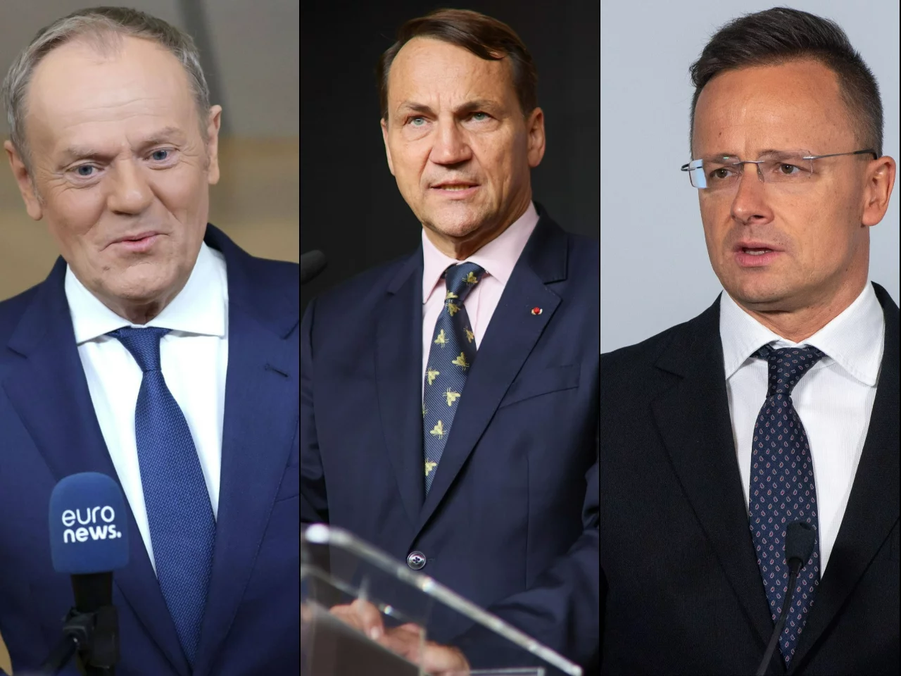 Donald Tusk, Radosław Sikorski, Peter Szijjarto