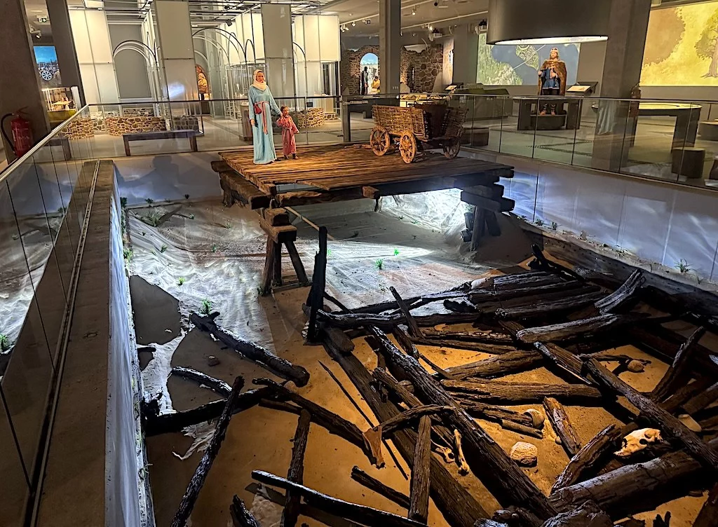 Belki wydobyte z dna Jeziora Lednickiego. Muzeum Pierwszych Piastów na Lednicy