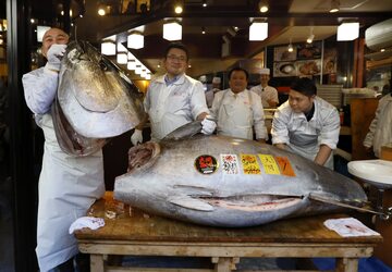 Targ rybny Tsukiji w Tokio