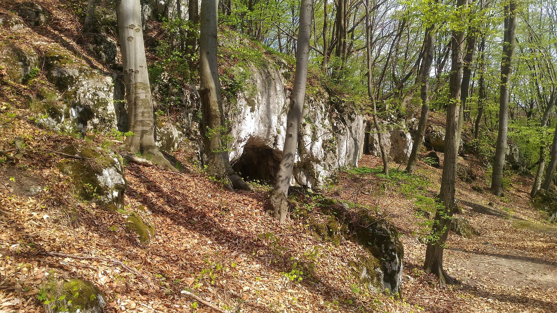 Jaskinia Maszycka, Ojcowski Park Narodowy