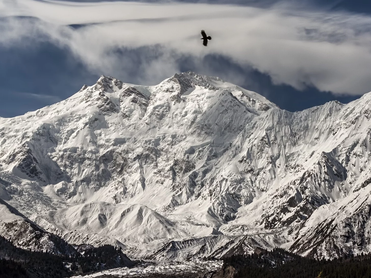 fot. zdjęcie ilustracyjne