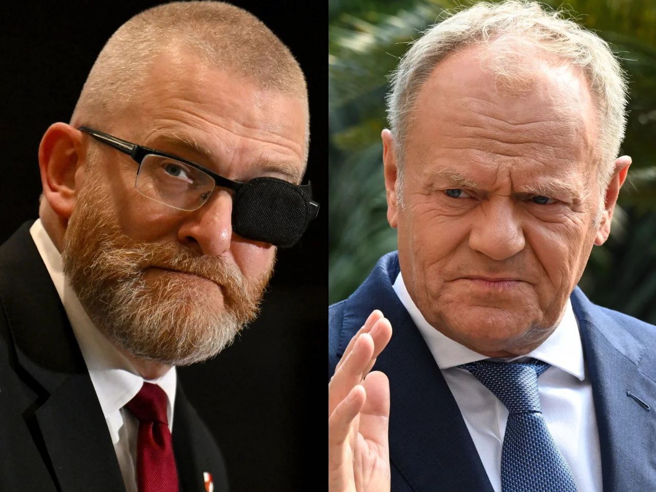 Grzegorz Braun lider KKP. Premier Donald Tusk