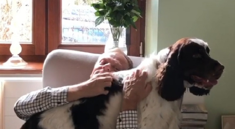 Był premier udostępnił w mediach społecznościowych krótkie nagranie z ukochanym psem.