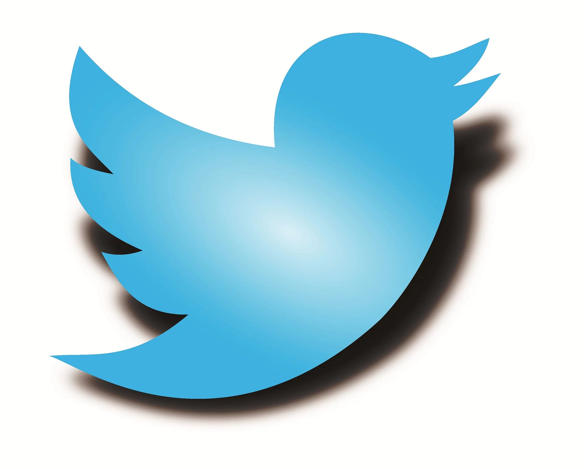 Twitter - logo