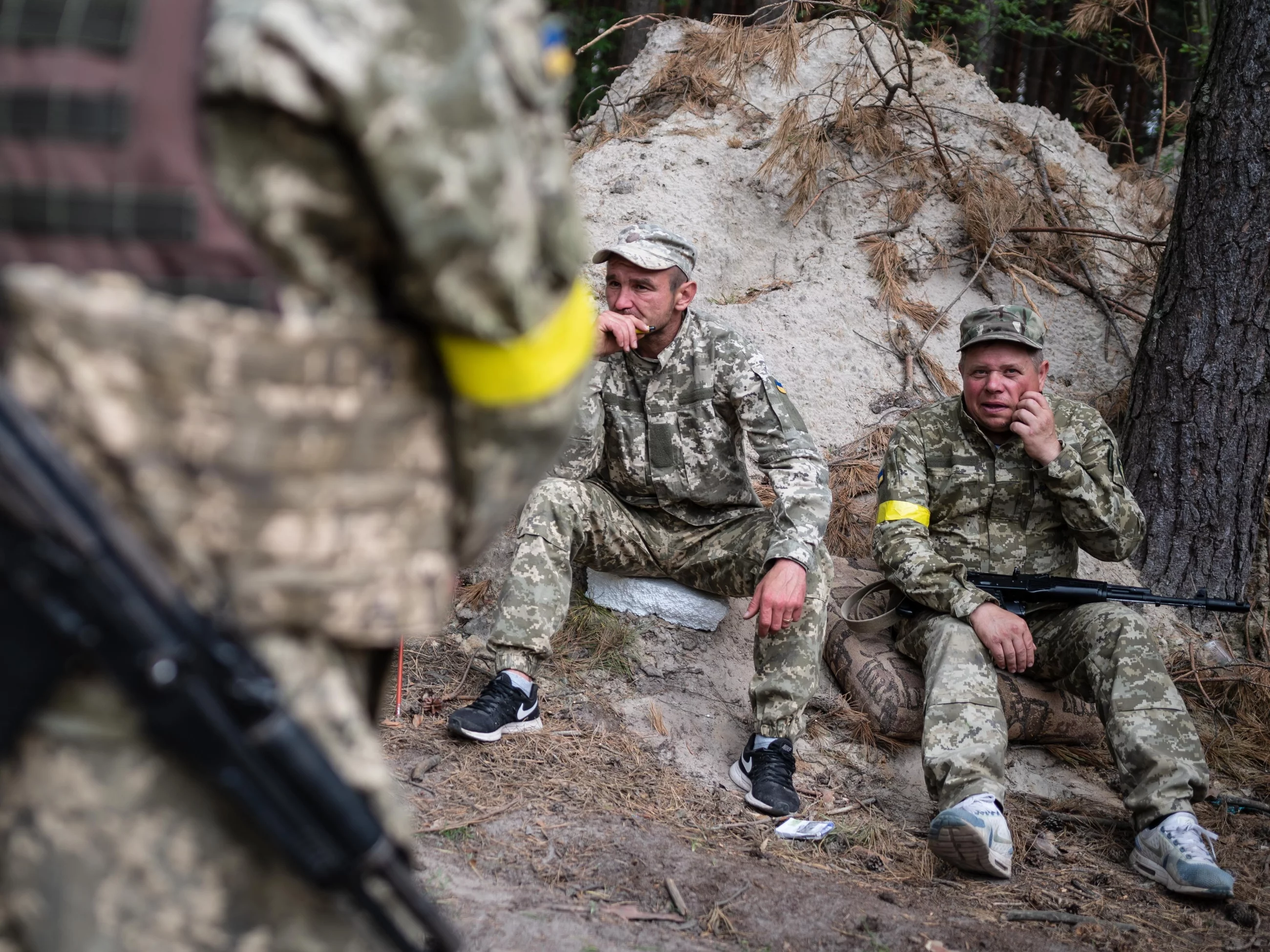 Wojska Obrony Terytorialnej Sił Zbrojnych Ukrainy