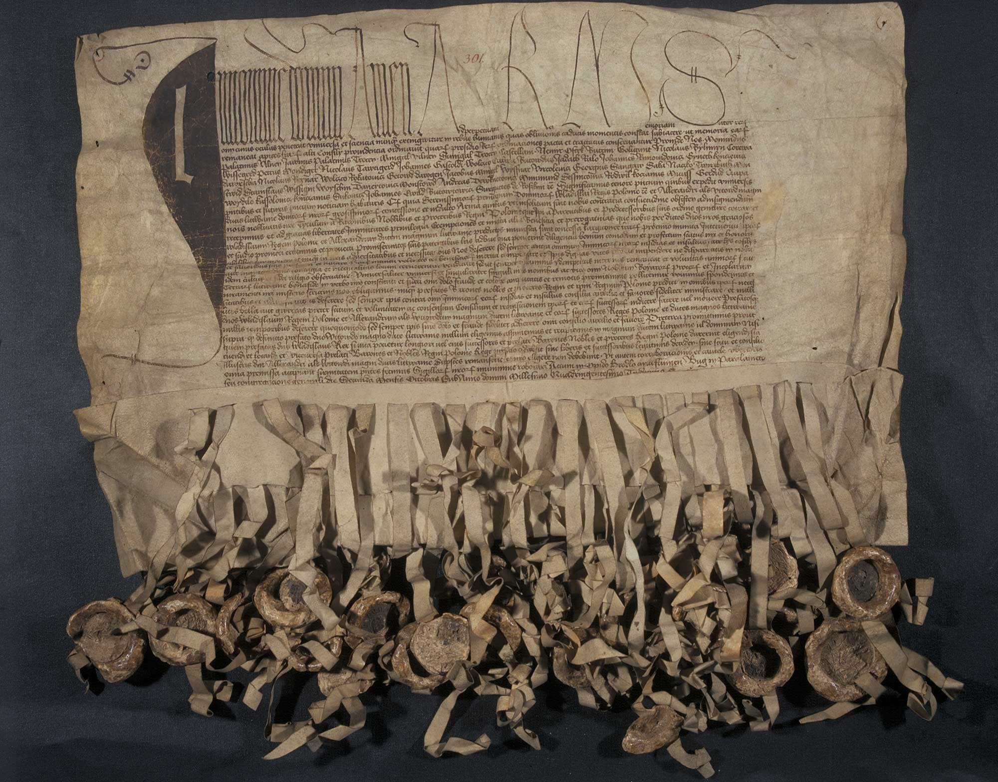 Drugi z trzech aktów unii horodelskiej z przywieszonymi pieczęciami polskiej szlachty i litewskiego bojarstwa - unia w Horodle, 1413 rok