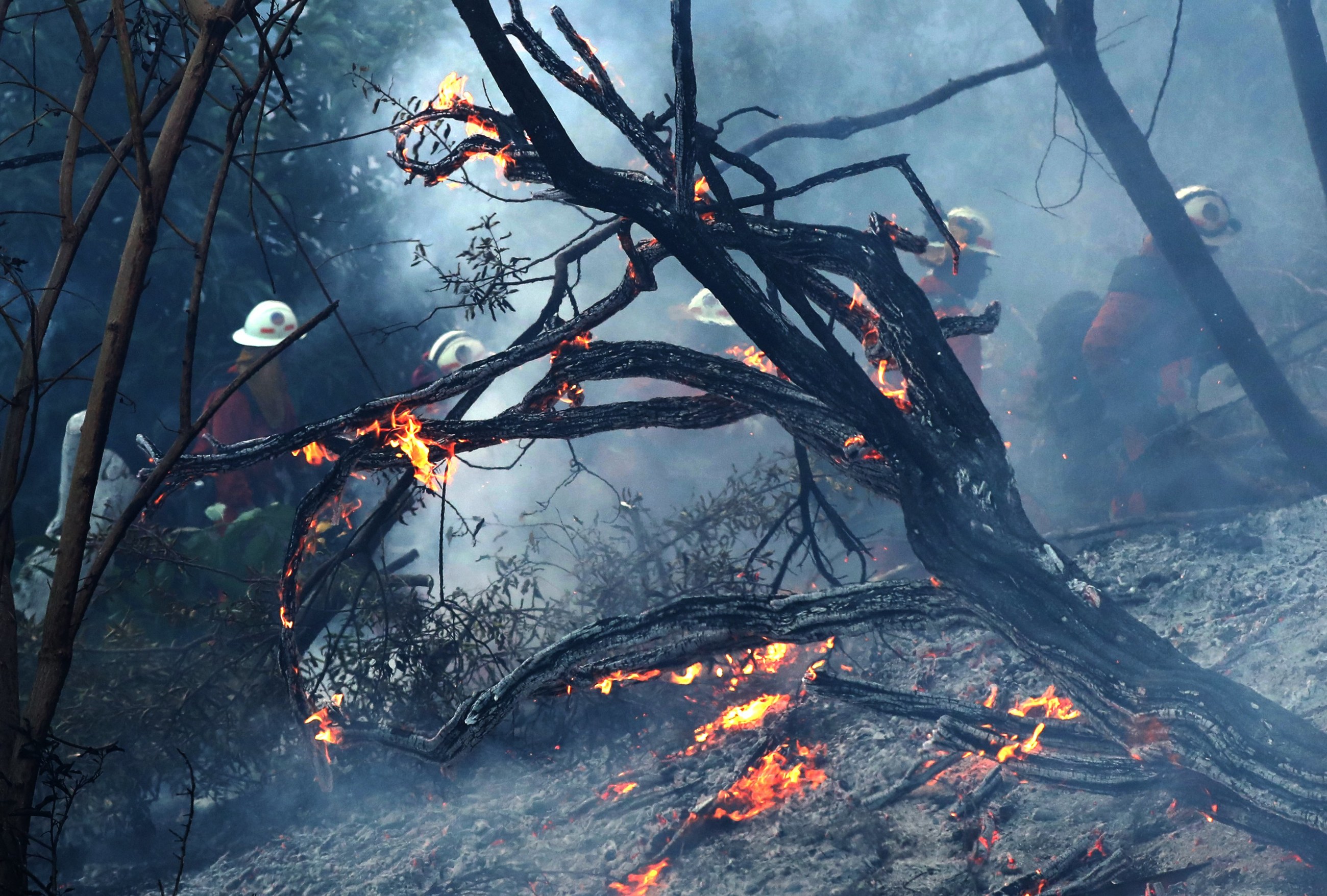 fot.zdjęcie ilustracyjne