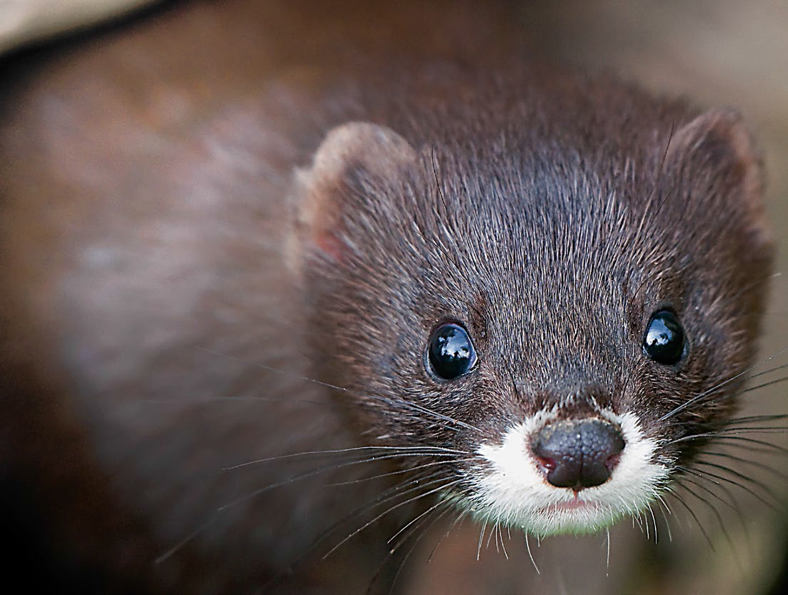 fot. zdjęcie ilustracyjne