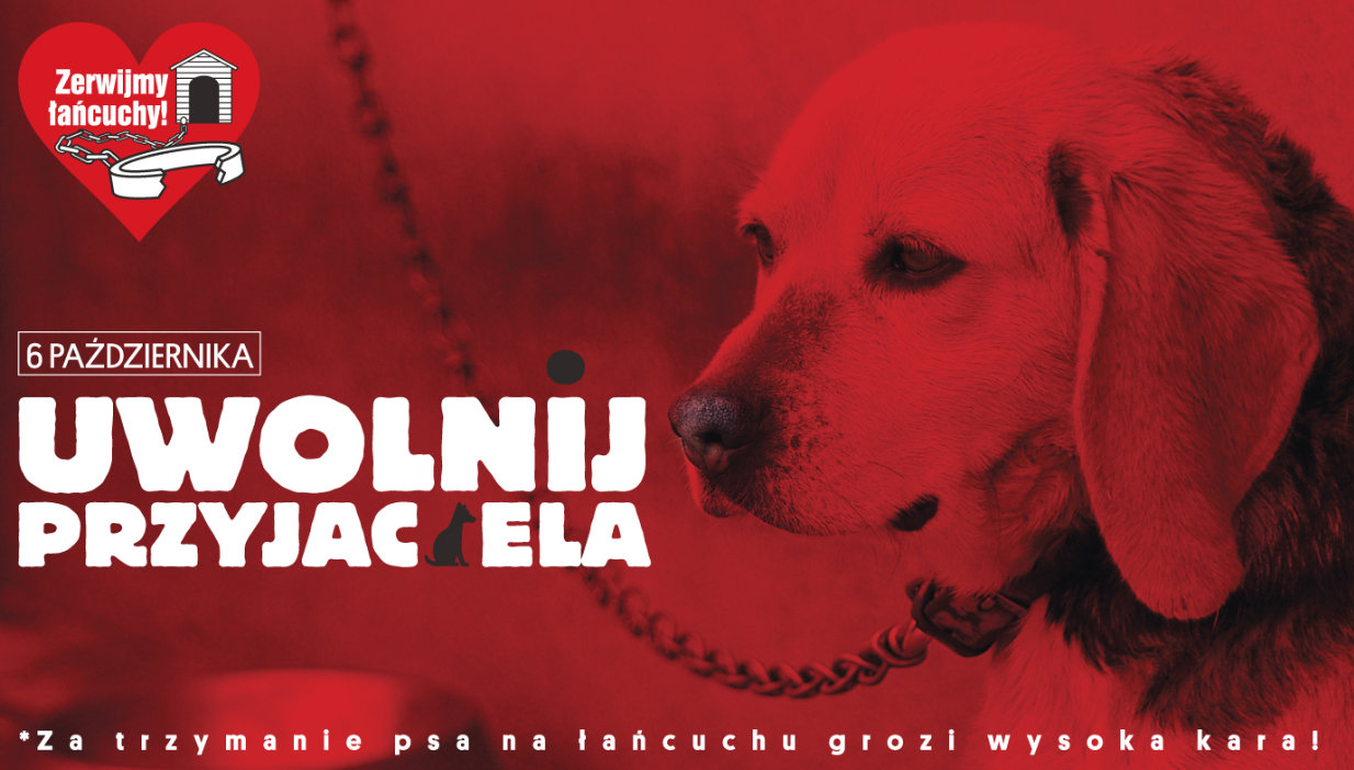 "Zerwijmy łańcuchy". Protest w obronie psów