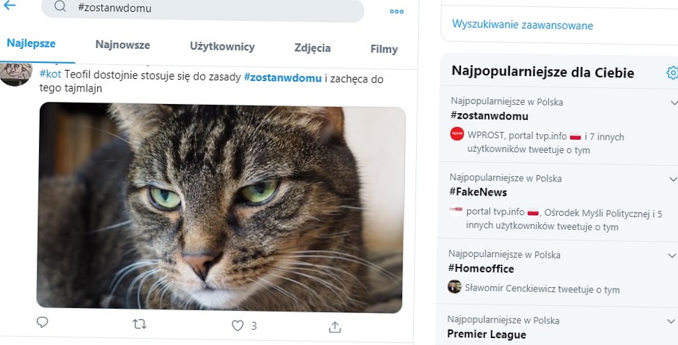 Internetowa akcja #zostanwdomu