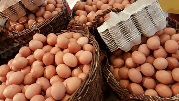 W jajkach z Polski wykryto salmonellę