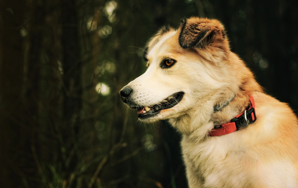 Zdjęcie ilustracyjne