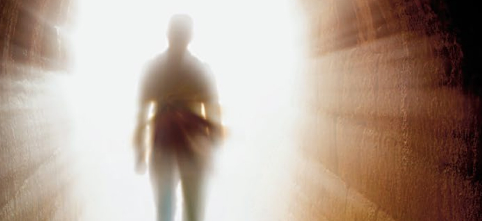 W Niebie nie ma demokracji