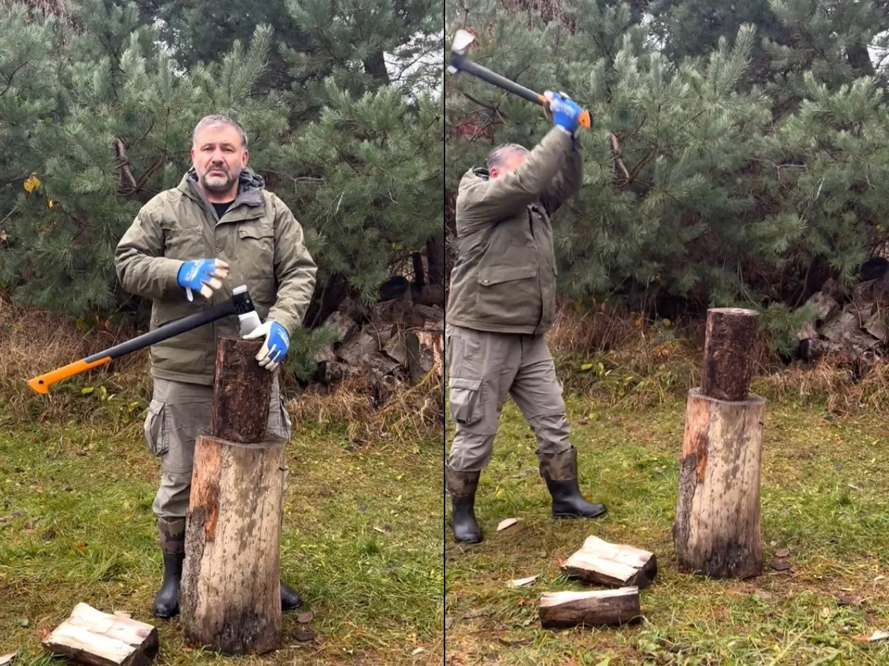 Wariactwa pana Waldemara