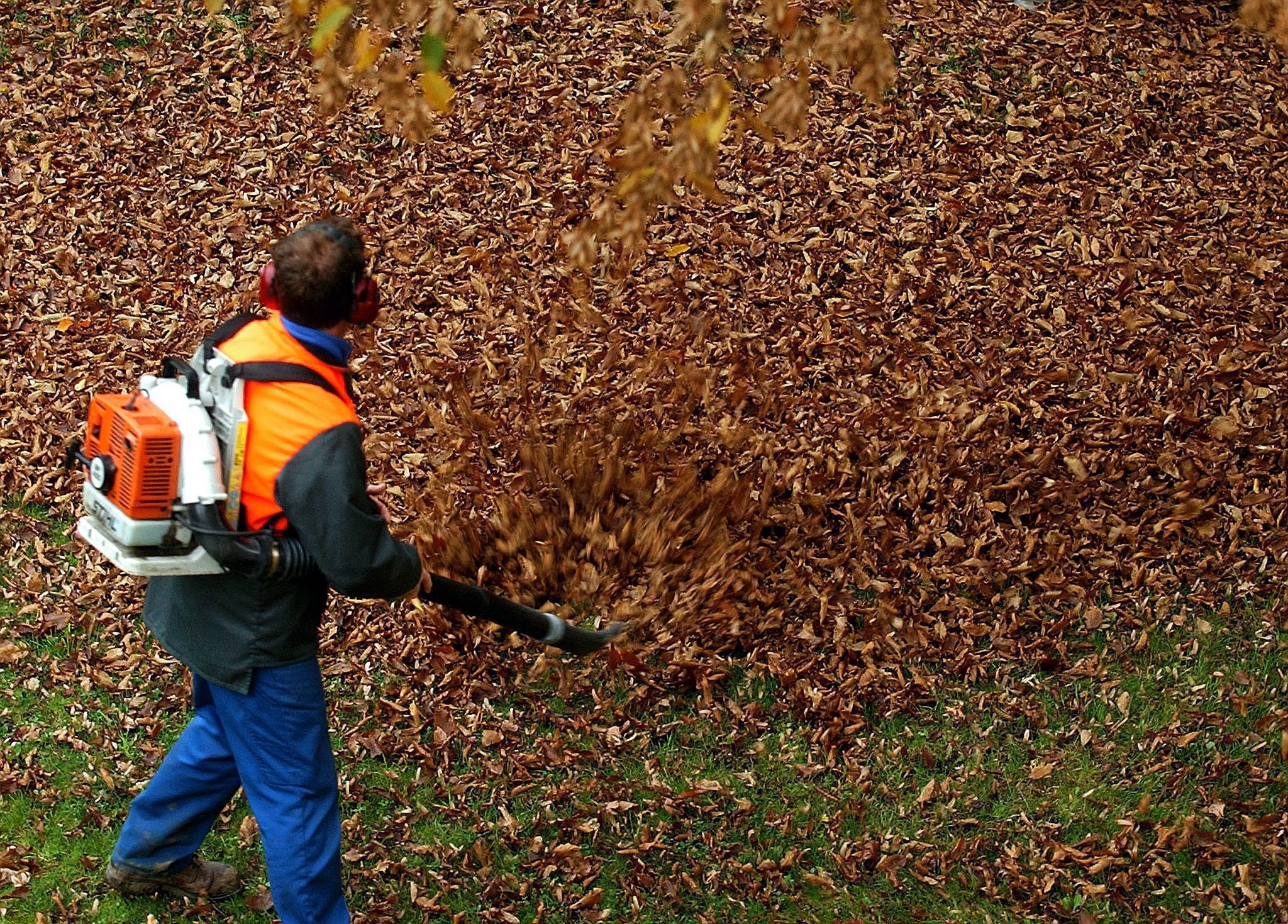 Zdjęcie ilustracyjne