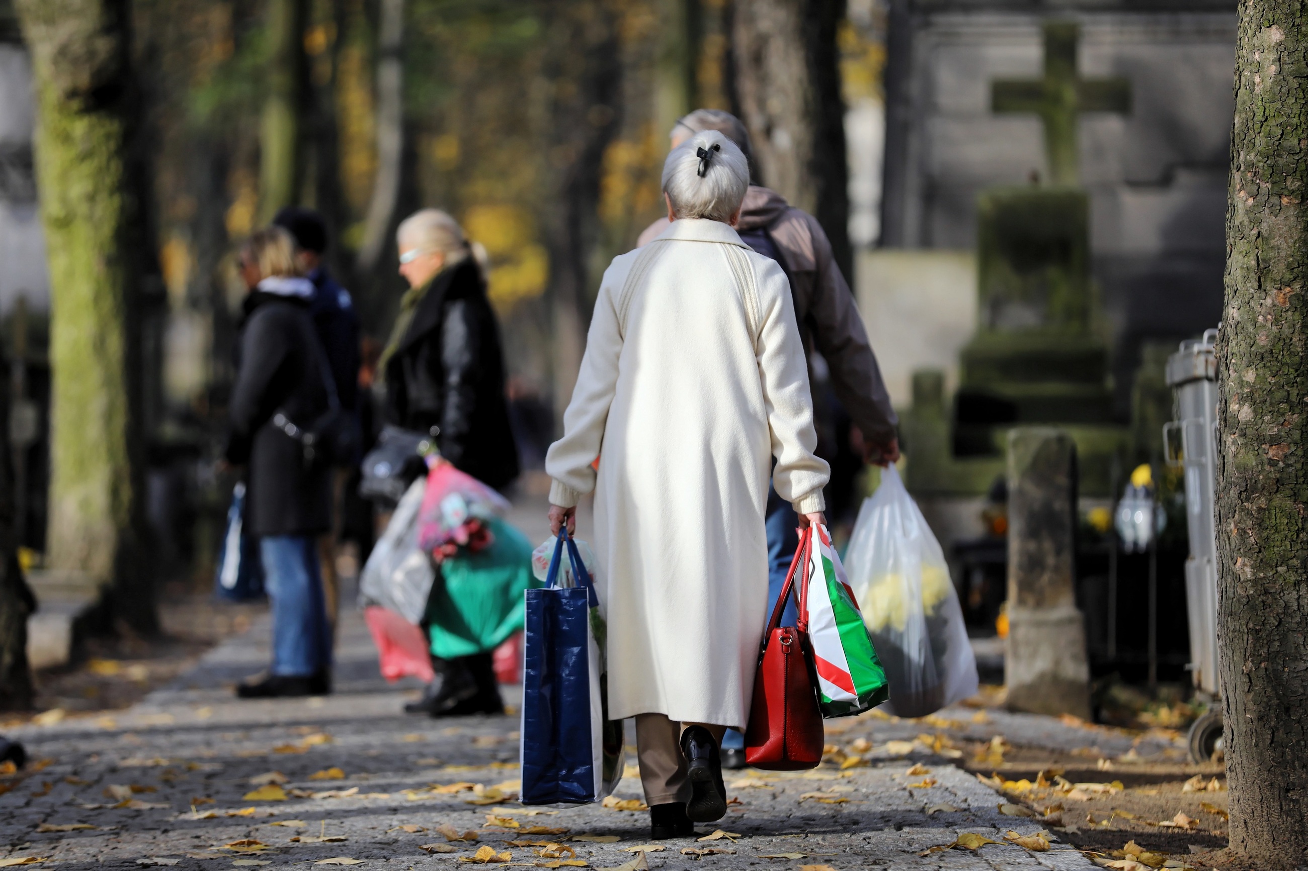 zdjęcie ilustracyjne