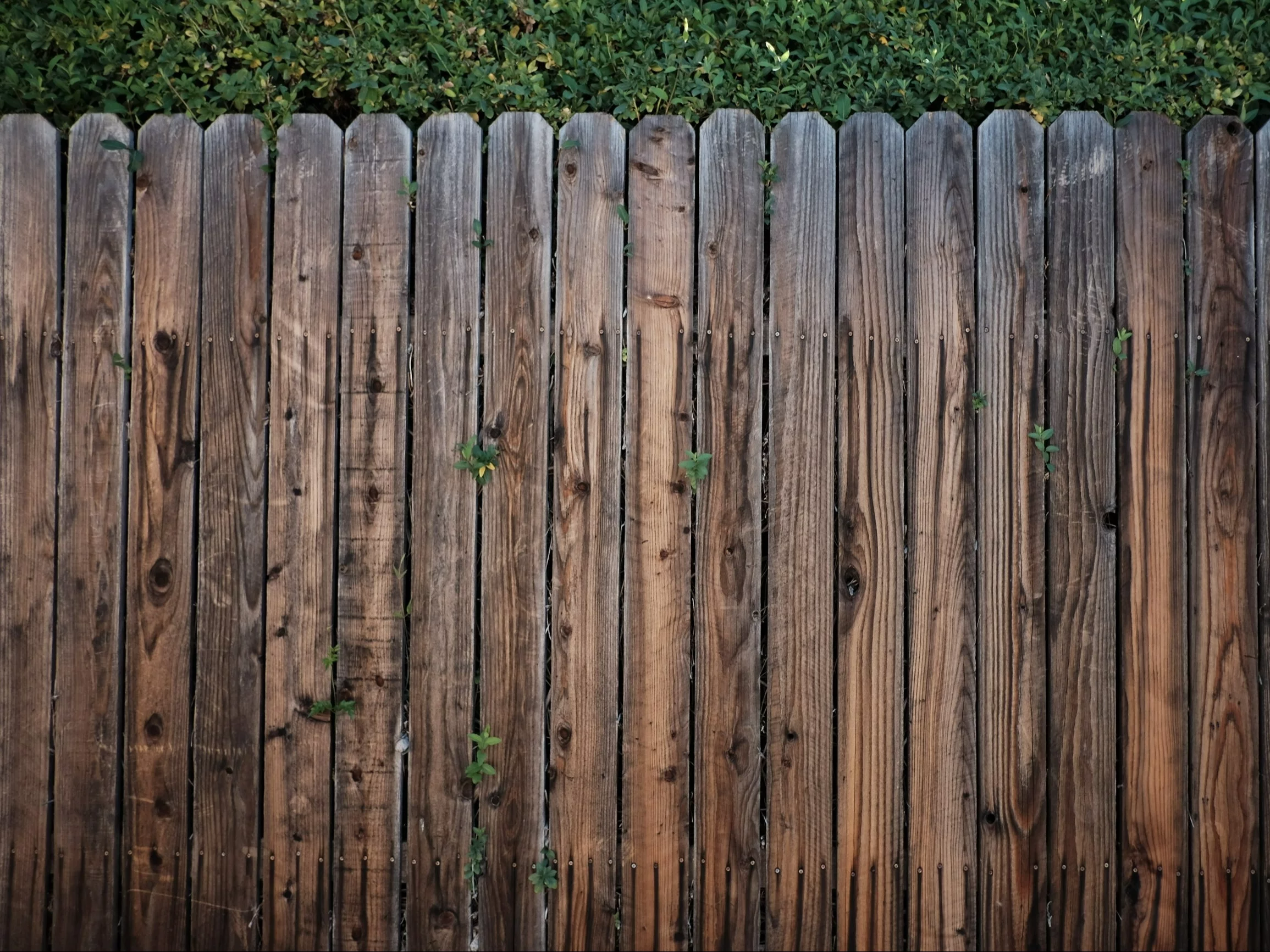 Płot, zdjęcie ilustracyjne