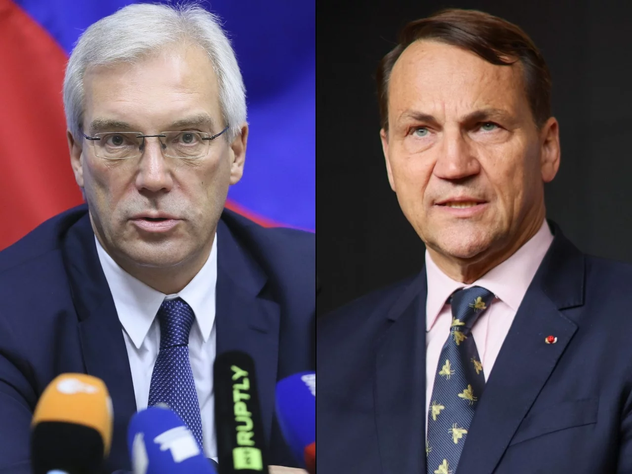 Aleksandr Gruszko i Radosław Sikorski
