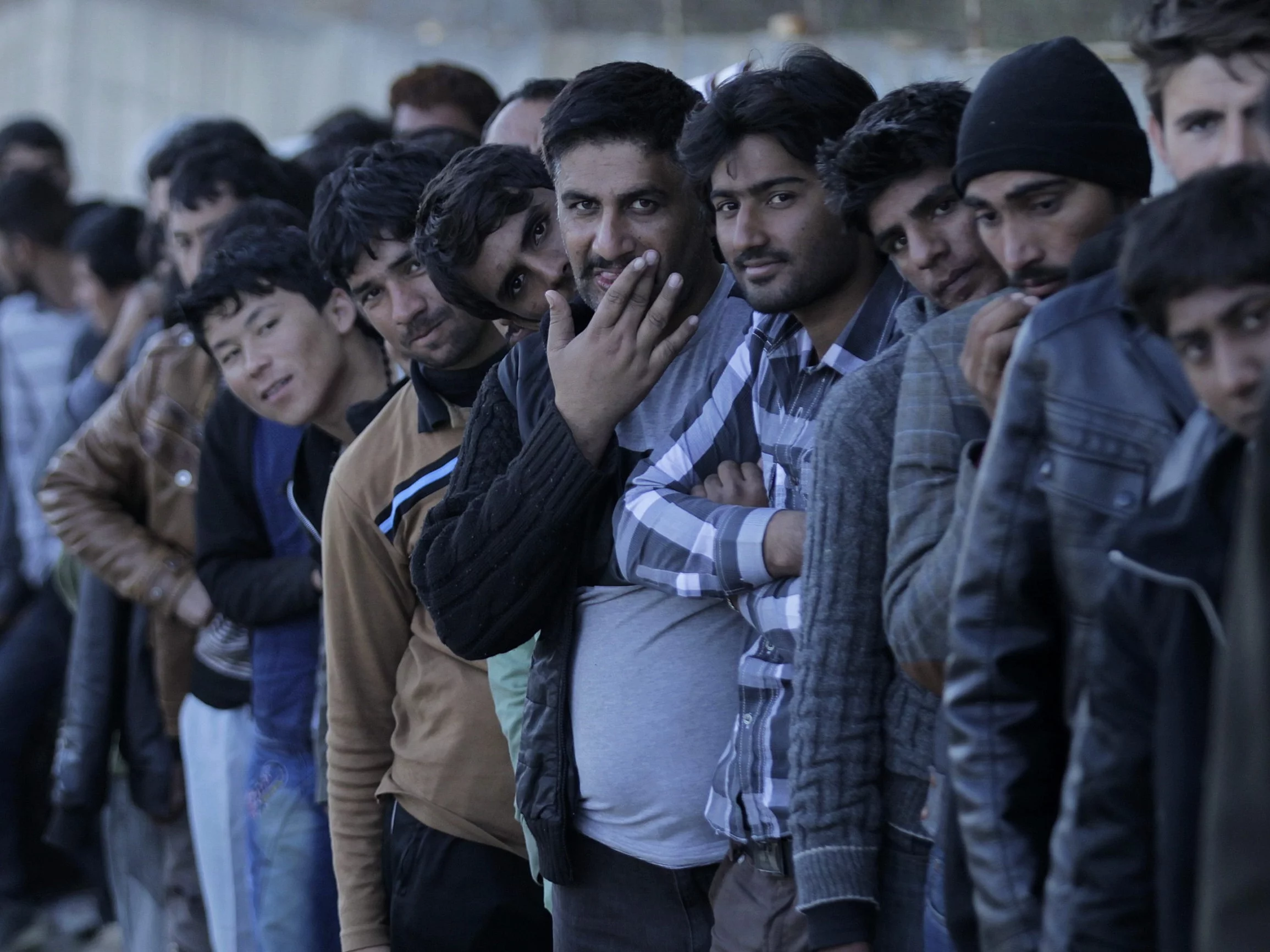 Migranci