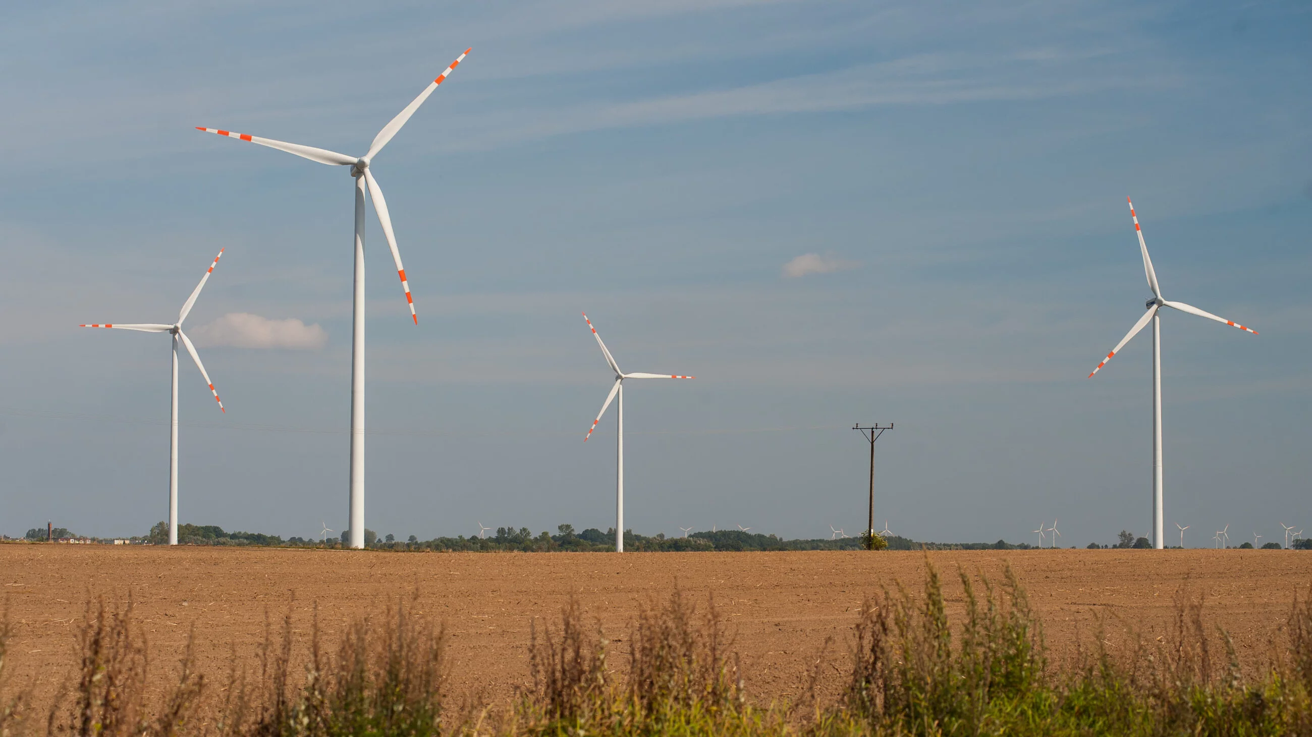 Elektrownia wiatrowa