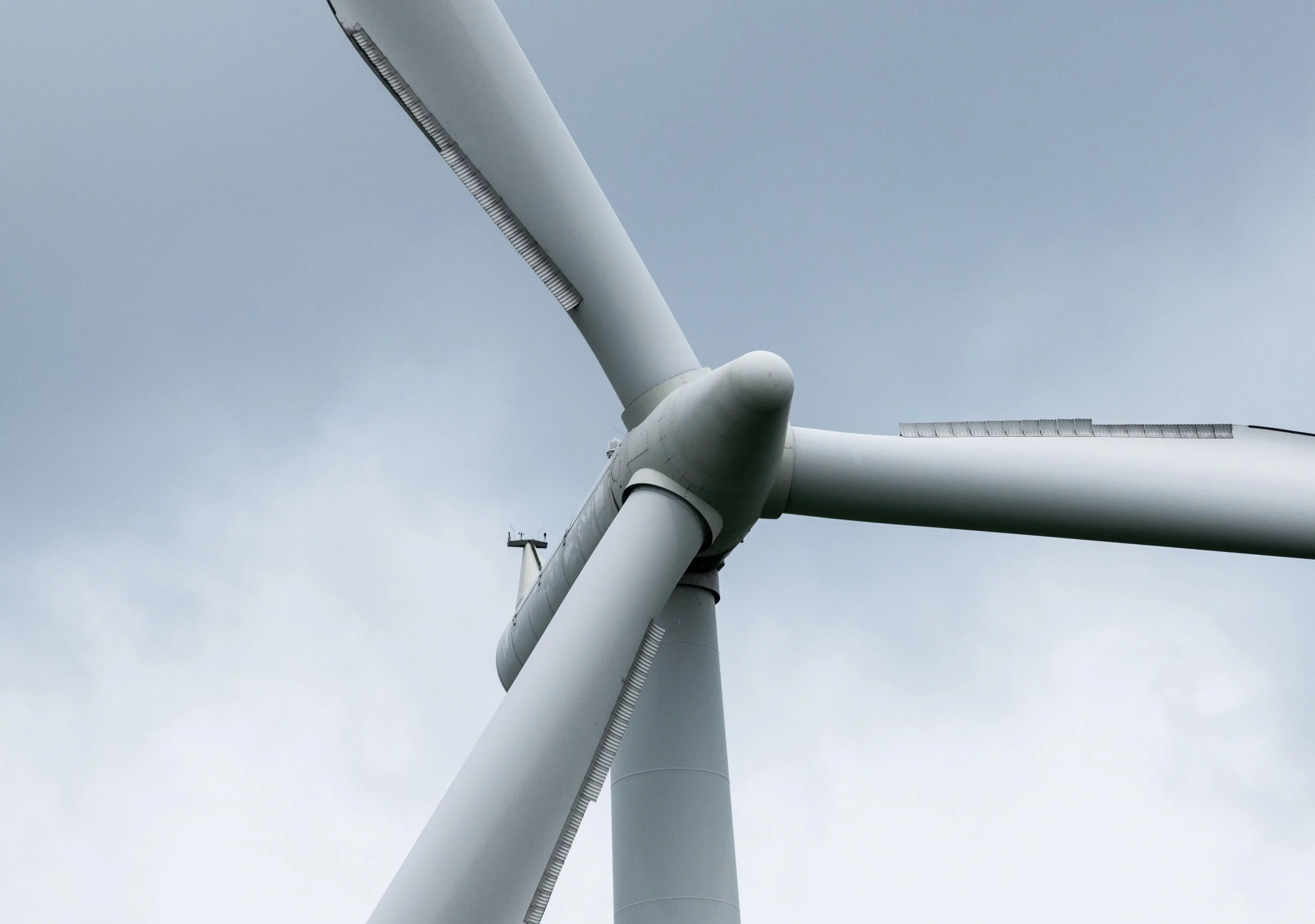 Wiatrak. Zdjęcie ilustracyjne