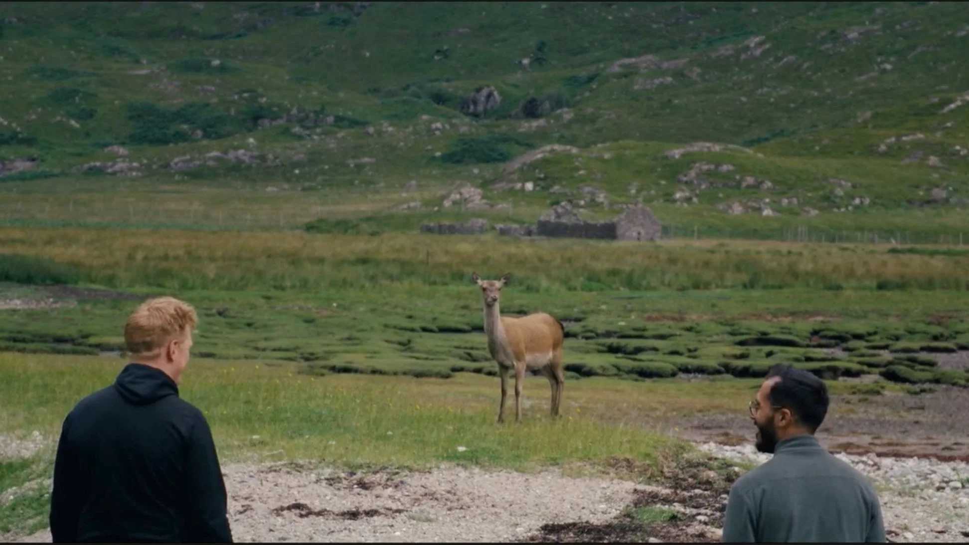 Kadr z filmu "Wędrówka na północ"