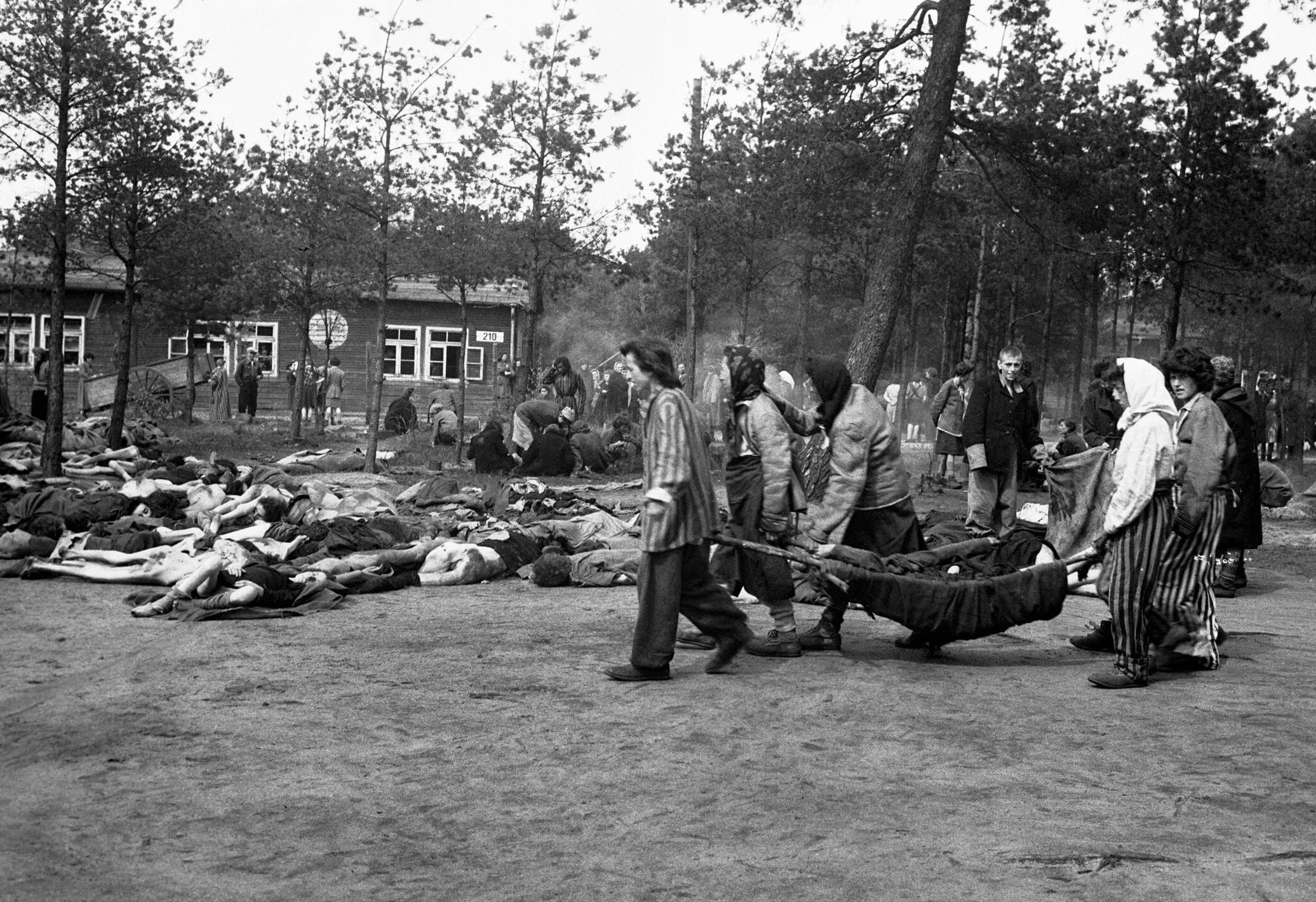 Żywi i martwi więźniowie obozu Bergen-Belsen po wyzwoleniu