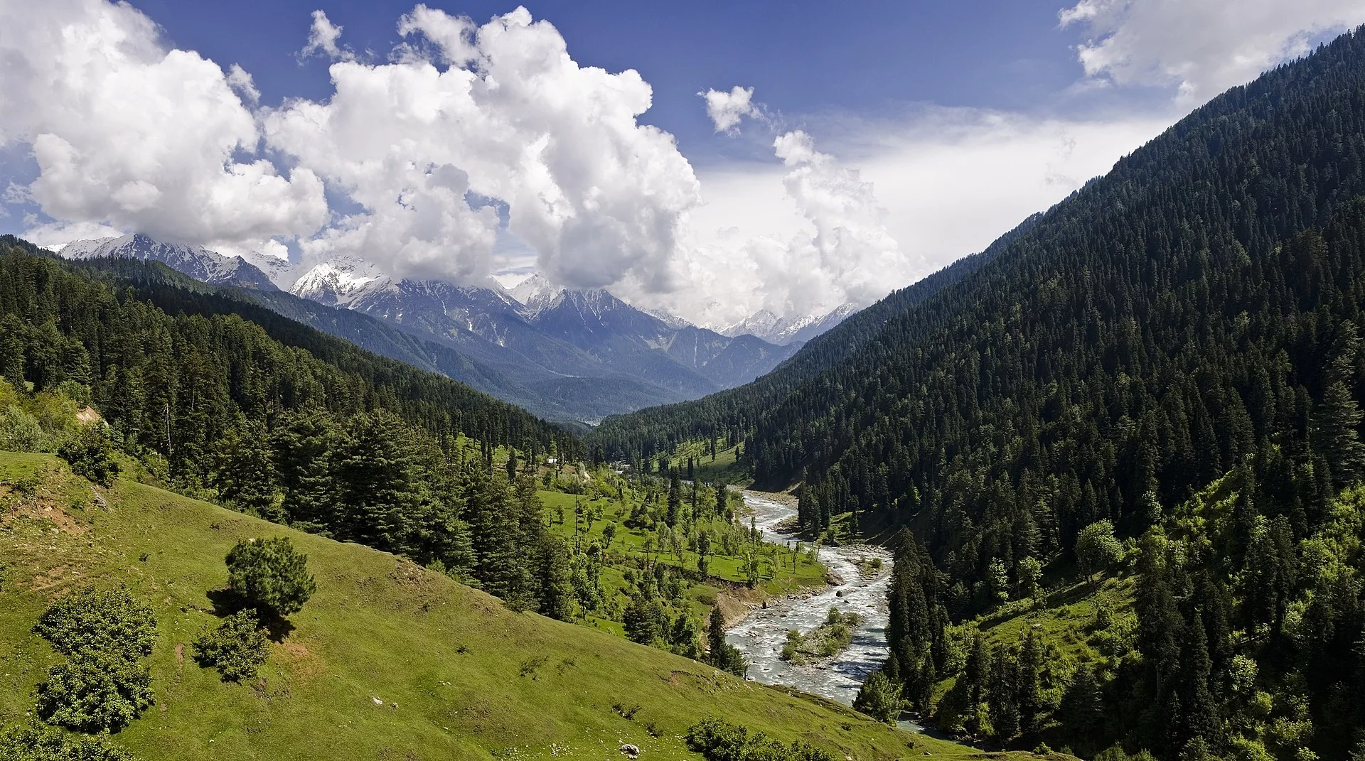 Dolina rzeki Lidder w pobliżu Pahalgam, Kaszmir