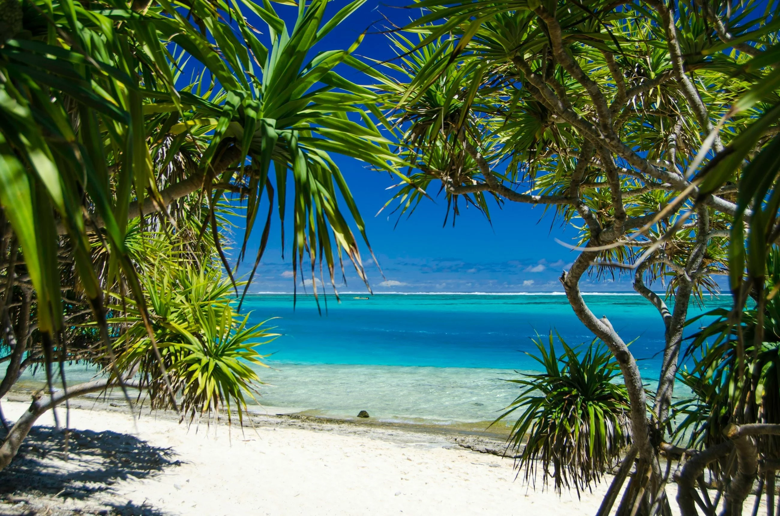 Plaża na Vanuatu