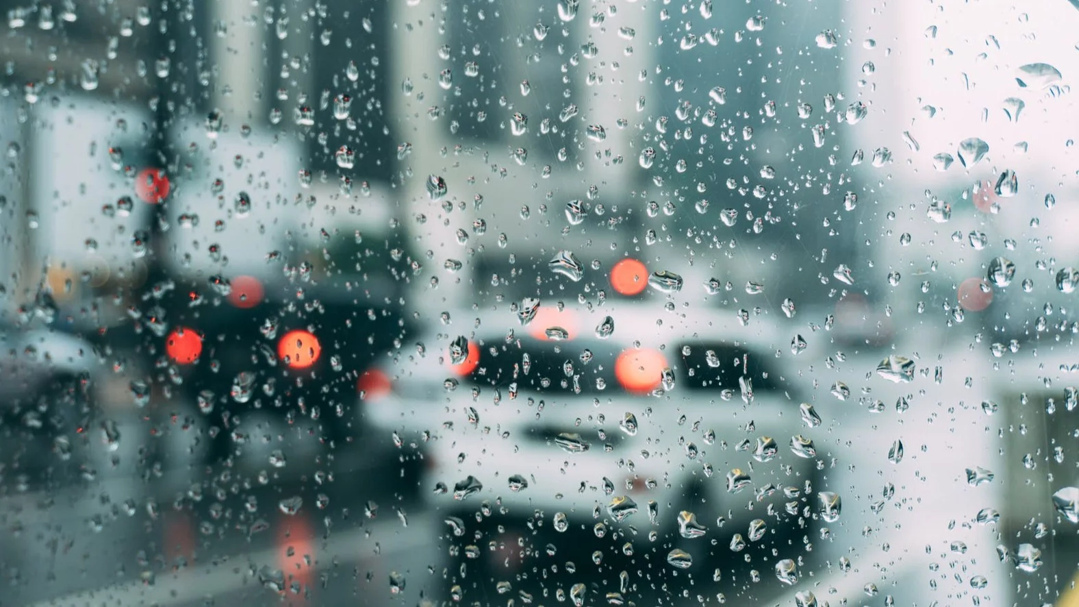 Wyjątkowo zimny maj. Jesień w środku wiosny