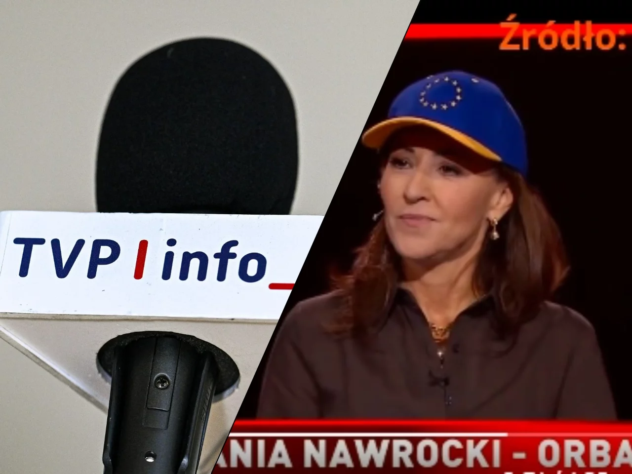 Dorota Wysocka-Schnepf