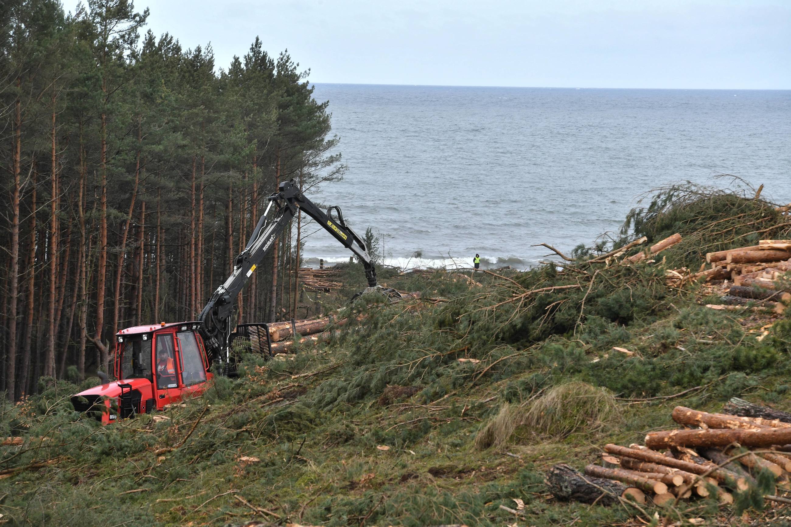 Prace przygotowawcze związane z przekopem Mierzei Wiślanej