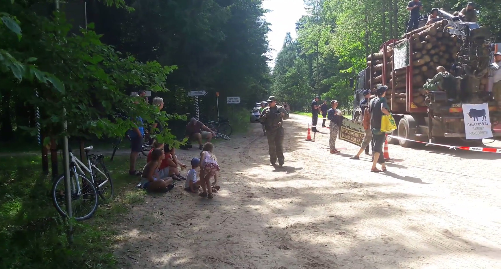 Puszcza Białowieska