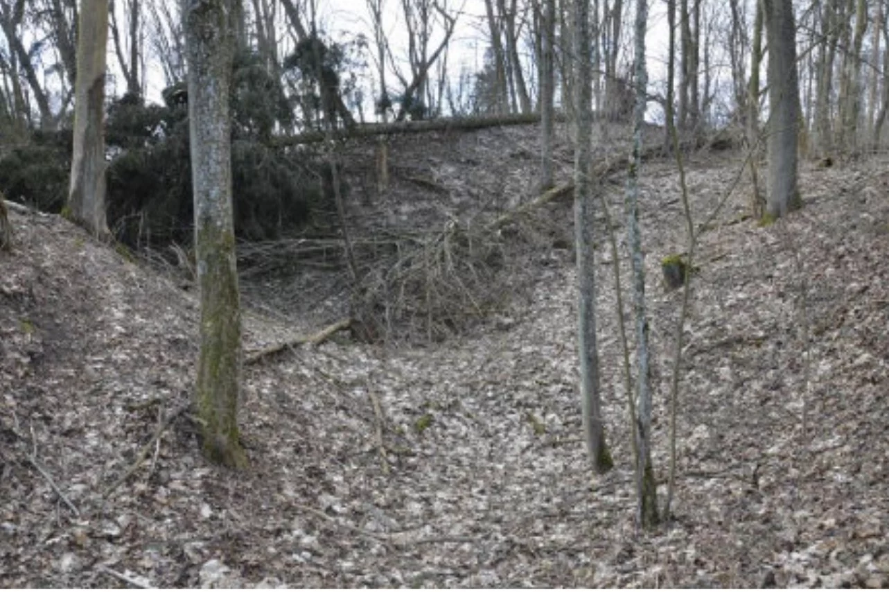 Pozostałości osady Dąbrówno - zdjęcie z badań archeologicznych. Za: Arkadiusz Koperkiewicz, "Raport z rozpoznania archeologicznego prowadzonego w miejscowości Stare Miasto, gm. Dąbrówno, stan. I „Góra Zamkowa” w sezonie 2022", Gdańsk 2022