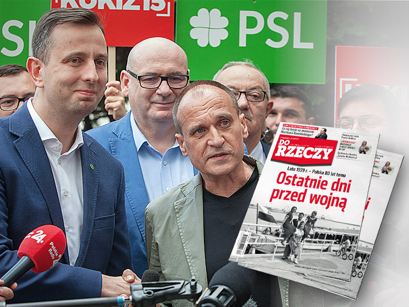 Zagubiony w partiokracji