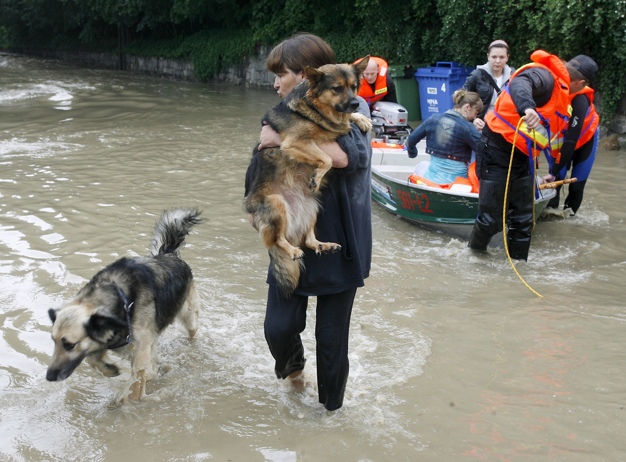 fot. zdjęcie ilustracyjne