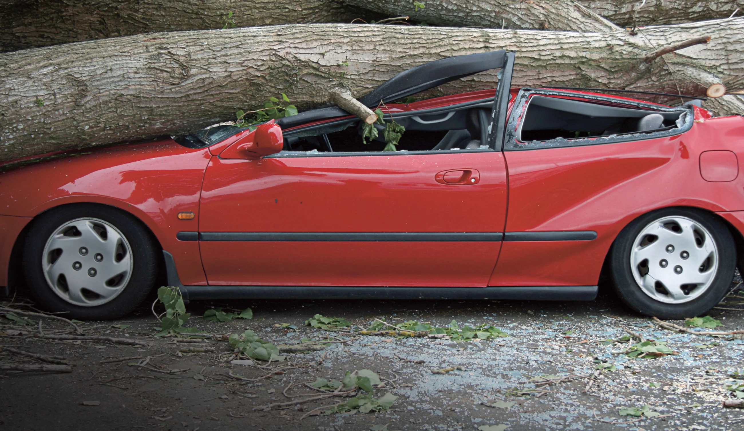 Taki widok często spotyka się ostatnio w całej Polsce. Silny wiatr powala drzewa, które spadają prosto na zaparkowane w pobliżu auta. To zawsze wielki kłopot, który pomoże rozwiązać Smart Casco
