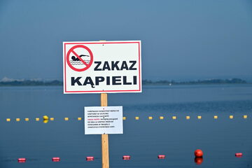 Zamknięte kąpielisko Dąbie w Szczecinie, 26 bm. w związku z katastrofą ekologiczną na Odrze.