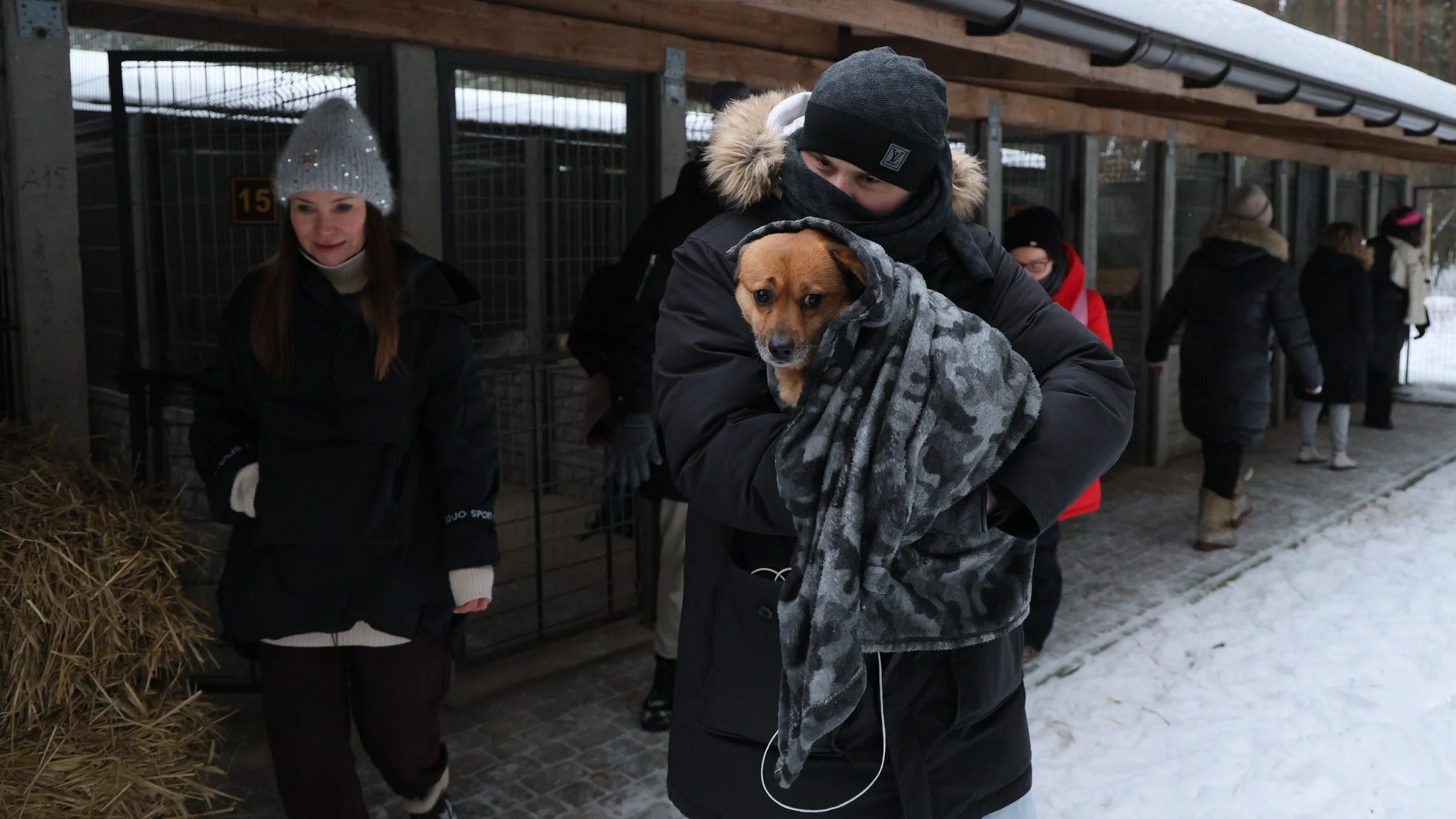 Akcja zabierania psów ze schroniska dla zwierząt "Happy Dog" w miejscowości Sobolew