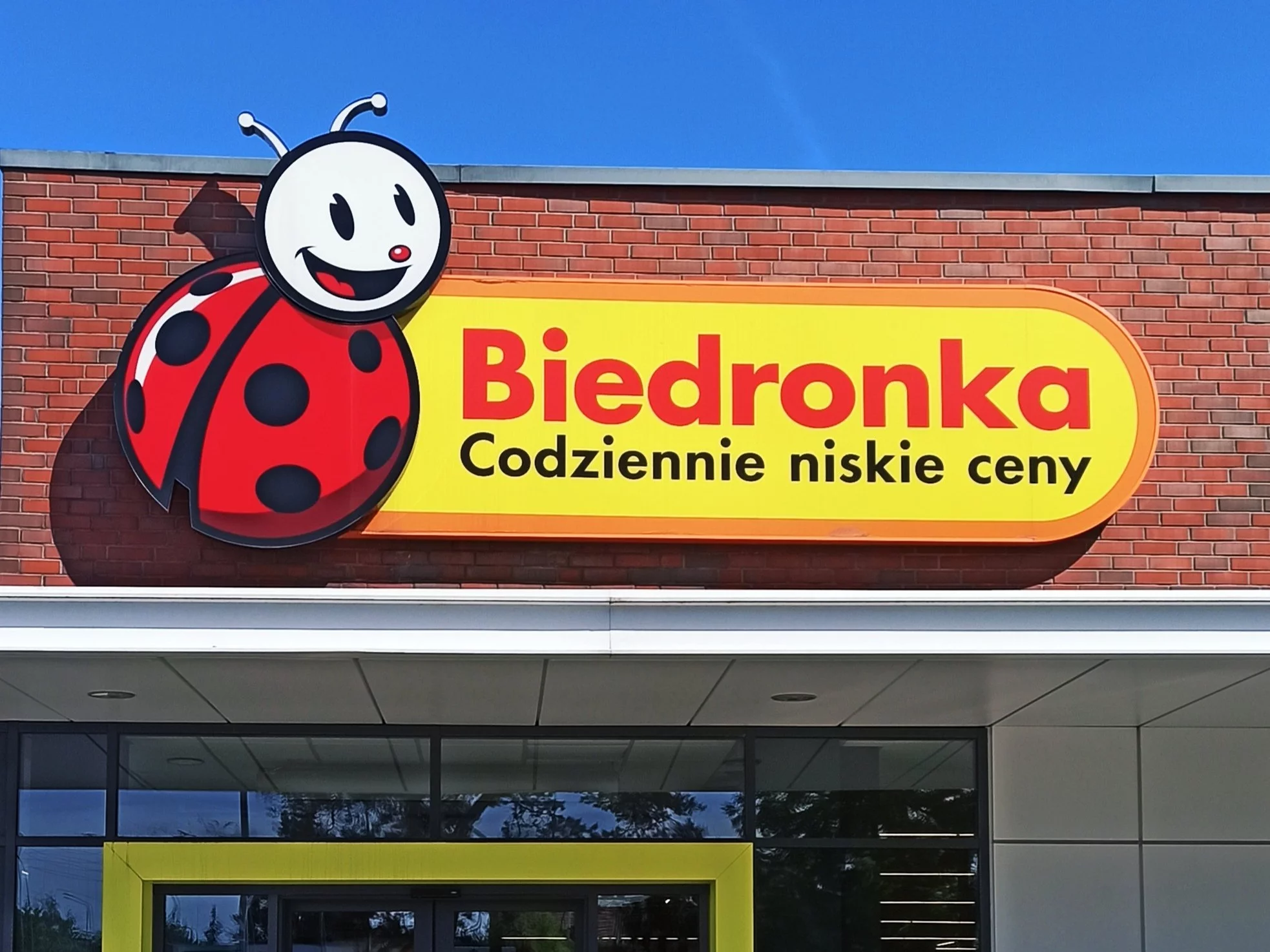 Biedronka, zdjęcie ilustracyjne