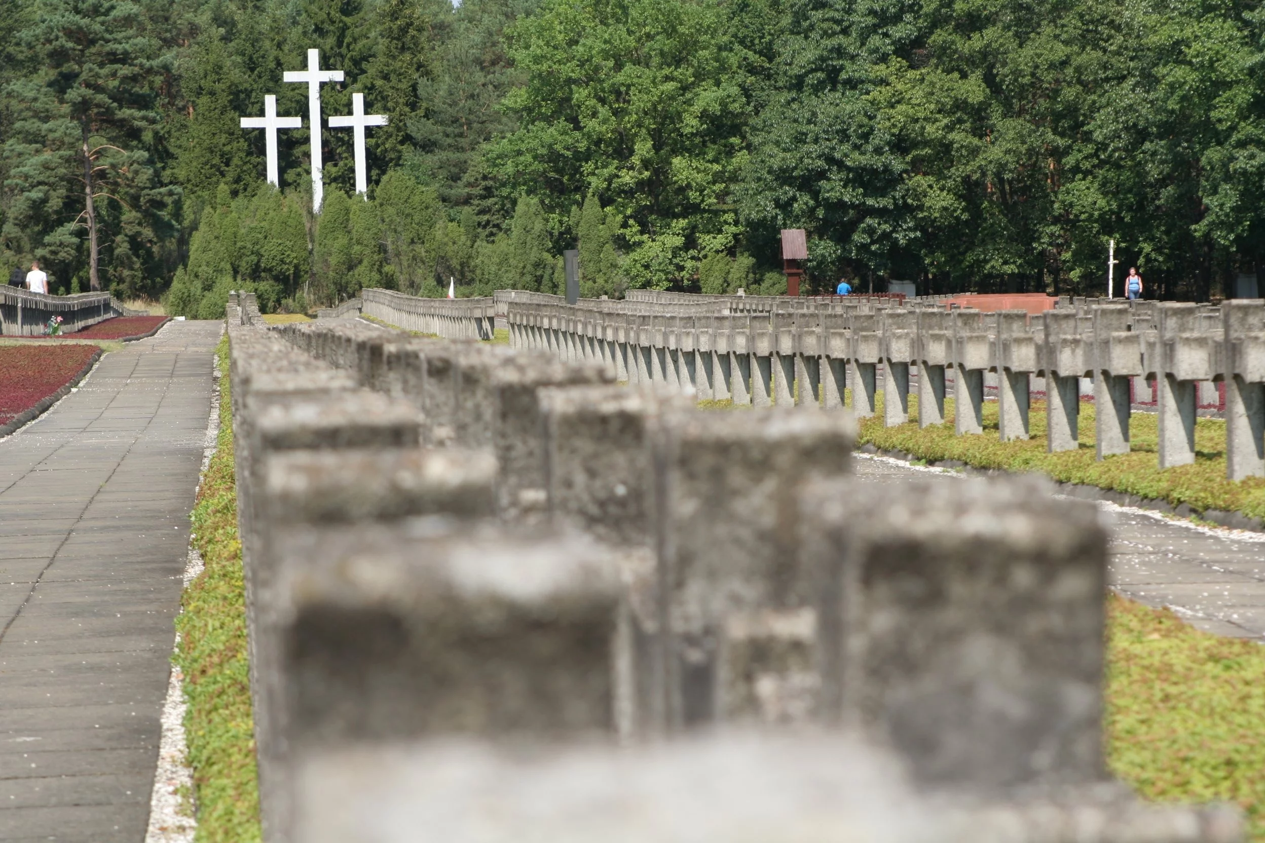 Cmentarz w Palmirach