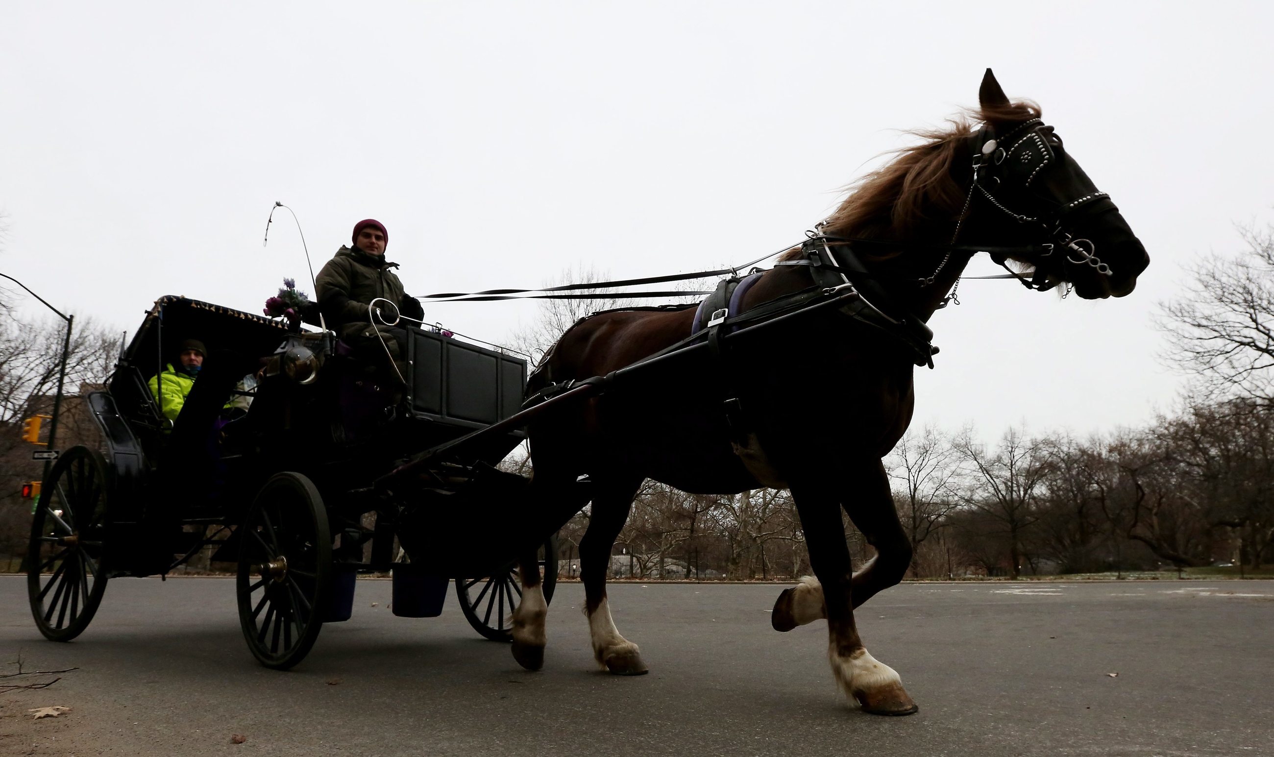 fot. zdjęcie ilustracyjne