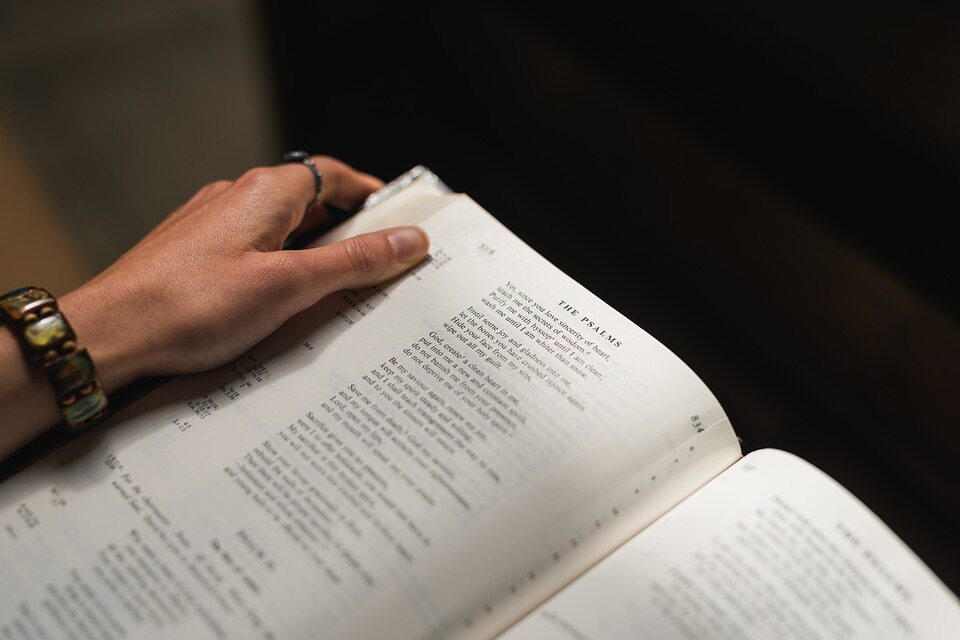"Odrzucenie Kościoła katolickiego to odrzucenie źródła Biblii" - Vimarsana News