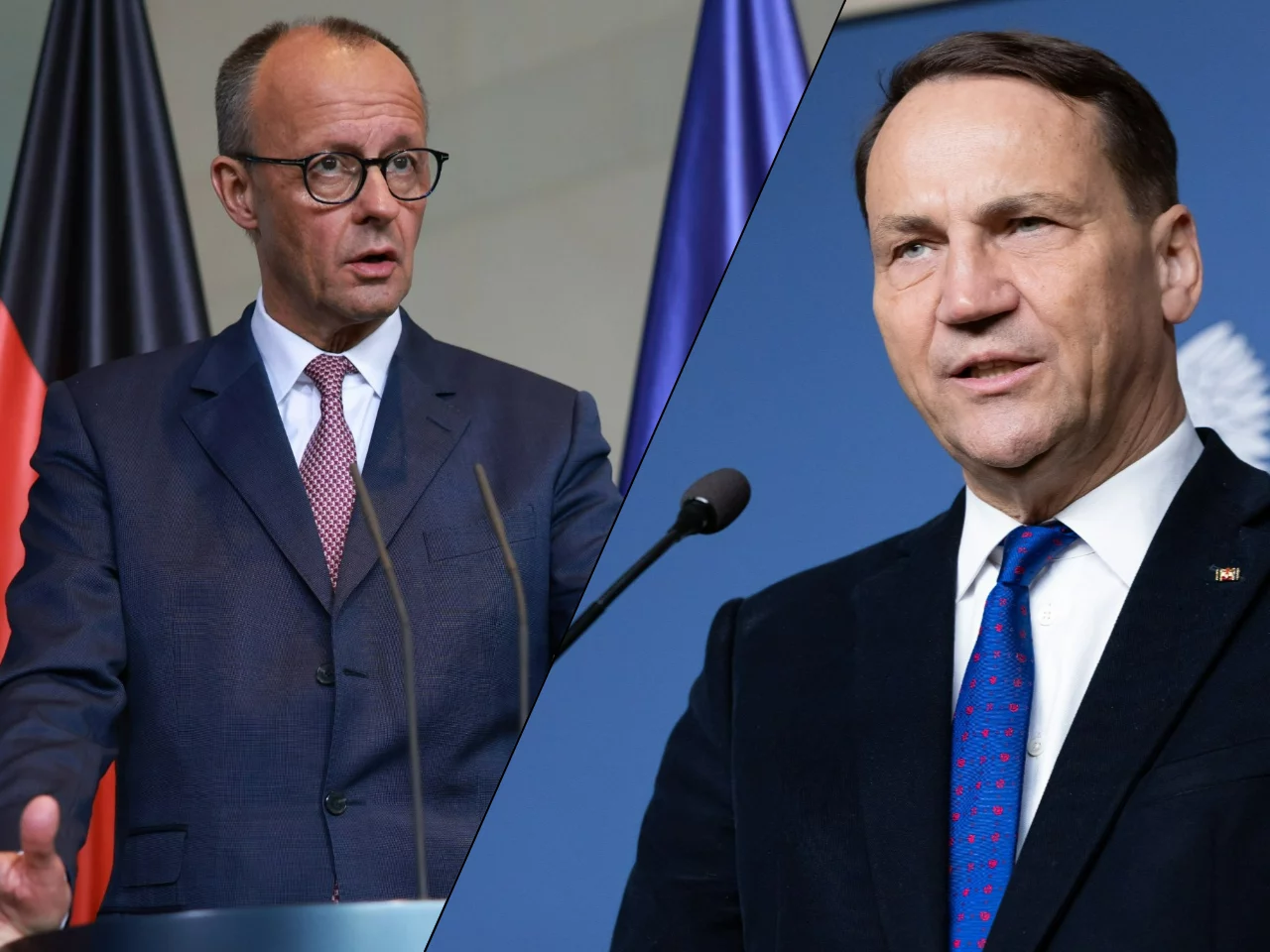 Friedrich Merz, Radosław Sikorski