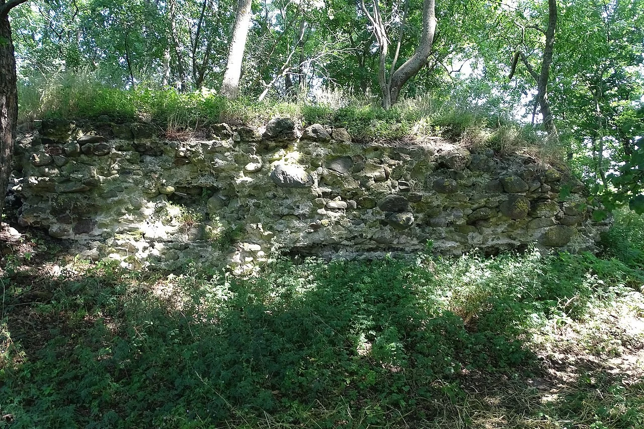 Zachodni mur ruin zamku w Starych Kolniach