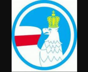 Zjednoczenie Chrześcijańsko-Narodowe - logo partii