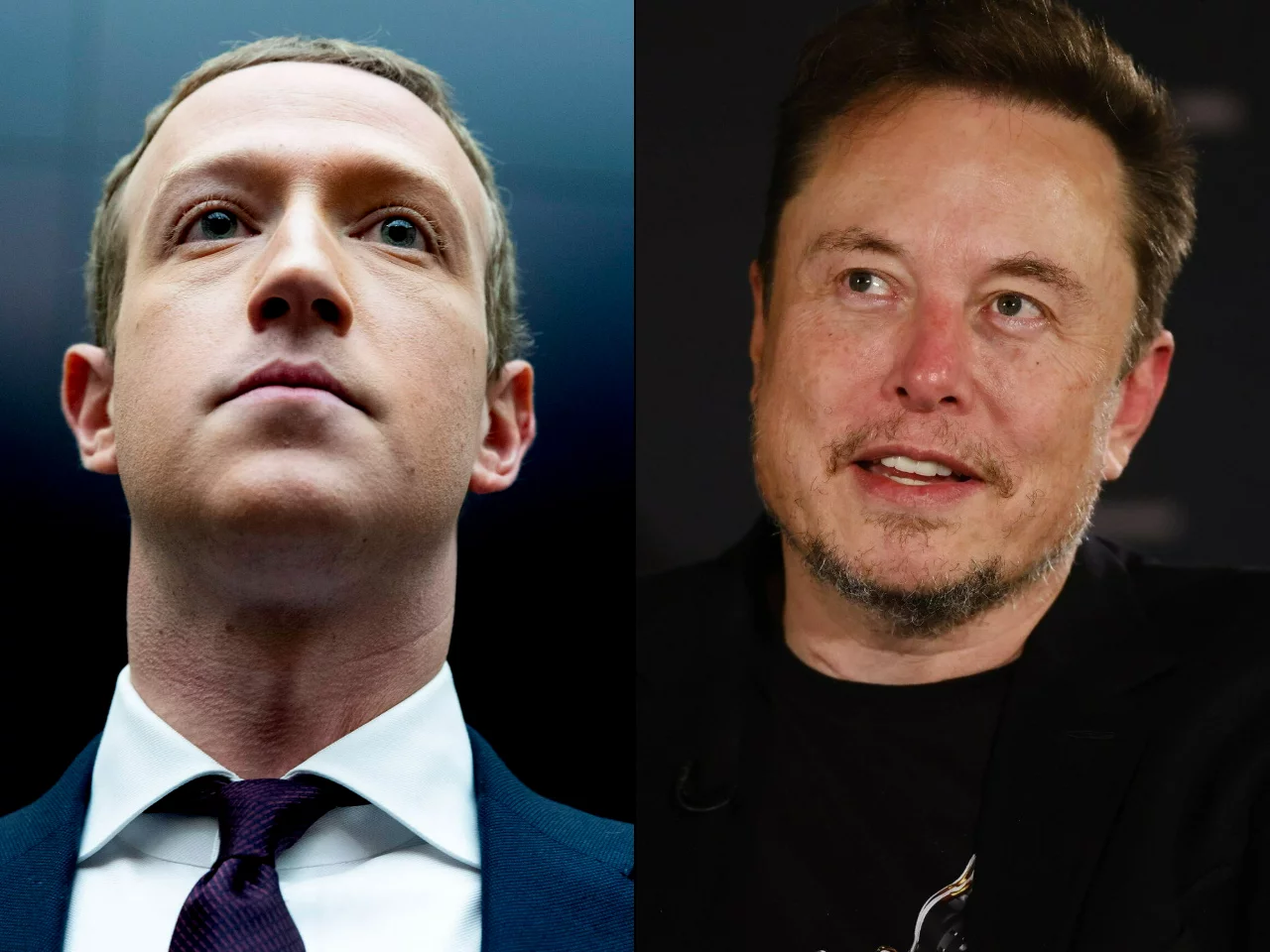 Mark Zuckerberg, Elon Musk